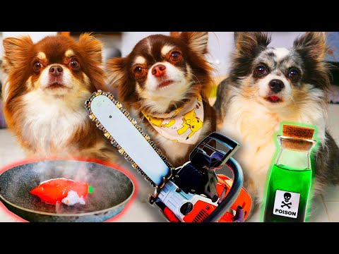 КТО ПЕРВЫЙ УНИЧТОЖИТ АНТИСТРЕСС ЧЕЛЛЕНДЖ ПОЛУЧАЕТ ПРИЗ КТО ПОСЛЕДНИЙ ВЫПОЛНЯЕТ ПОЗОРНОЕ ЗАДАНИЕ