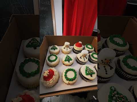 Easy Holiday Cupcakes (Small Batch Vanilla & Chocolate)