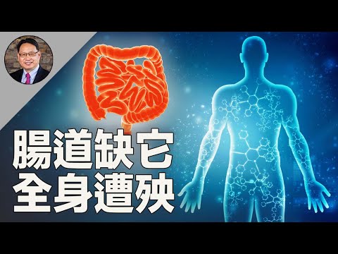 腸道的神奇物質增強免疫、護腦抗炎！這樣吃，輕鬆補充！