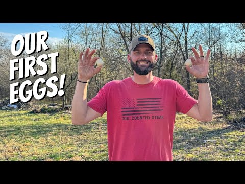 We've been WAITING for THIS!!