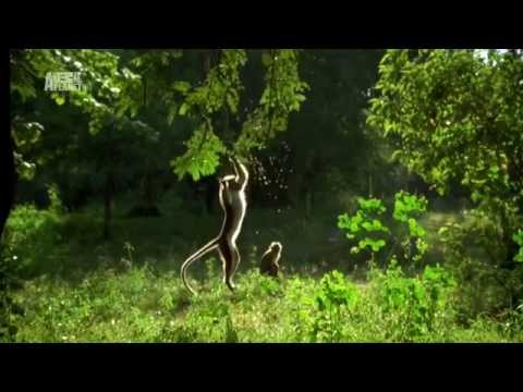 Шри Ланка. Sri Lanka