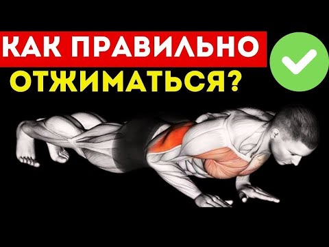 How to do push-ups CORRECTLY? What happens if you do push-ups regularly every day?