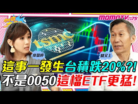 TSMC's stock price dropped 20% after this happened?! And this ETF, not the 0050, is even more vol...