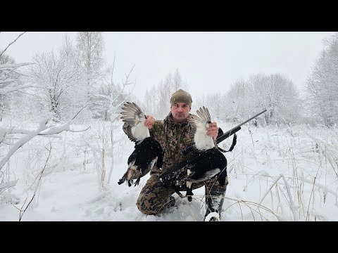 ОХОТА НА ТЕТЕРЕВА С МЕЛКАШКОЙ. ДОБЫЧА ПТИЦЫ В МЕТЕЛЬ. ОХОТА В ЗАБРОШЕННЫХ ДЕРЕВНЯХ.