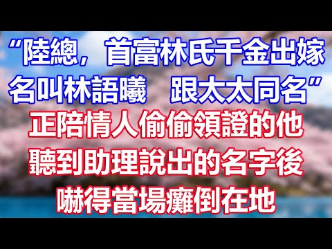 “陸總，首富林氏千金出嫁，名叫林語曦，跟太太同名”，正陪情人偷偷領證的他，聽到助理說出的名字後，嚇得當場癱倒在地