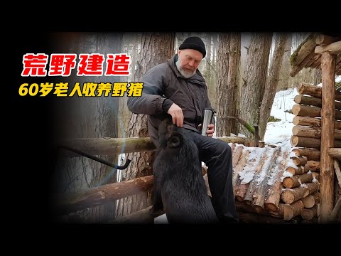60歲的老人帶著一條12歲的老狗，獨自在深山中開始了荒野建造，不僅建起了豪華木屋，還收養了野豬當寵物! #野外生存 #荒野求生 #荒野美食 #荒野狩獵 #紀錄片