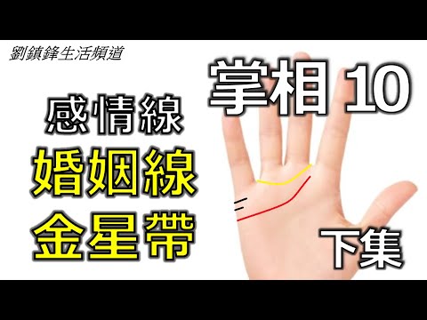 掌相10婚姻線 金星帶(開啟字幕)｜感情線 長短 掌丘 島紋 重疊 多線 交叉 混亂| 劉鎮鋒生活頻道