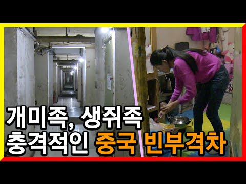 중국 청년, 서민들의 심각한 주거실태와 빈부격차 (KBS글로벌정보쇼 세계인 2015.05.09.)