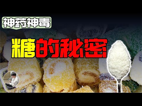 糖不得不說的秘密，真正的慢性毒药，為什麼要禁糖，現代疾病的真兇