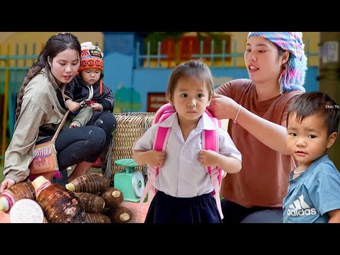 Nhi’s First Day of School: Mom and Little Brother Harvest Giant Taro and Sell It at the Market