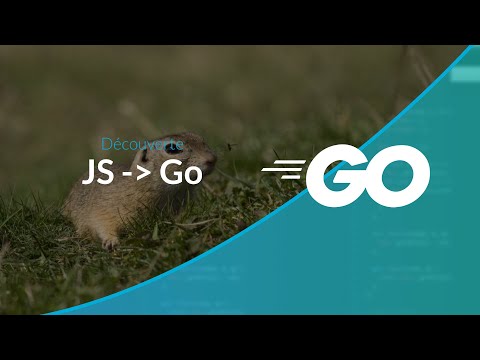 Découverte du langage Go pour les développeurs JavaScript