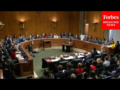 FULL HEARING: Antisemitic Disruptions On Campus Probed By Senate Health Committee