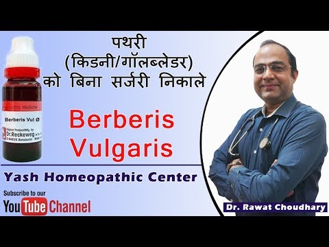 Uses of Berberis Vulgaris in Kidney Stone | Best medicine for kidney stone.
