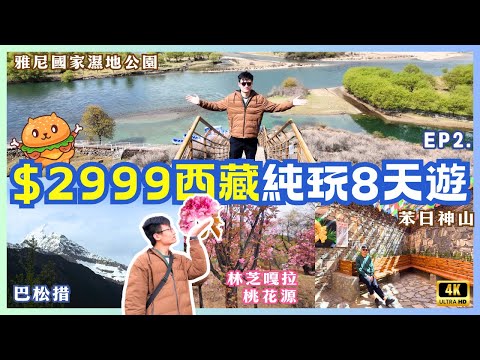 香港機場往返｜西藏純玩8天遊🌟$2999自費實測｜參觀巴松措湖心島！林芝嘎拉桃花村賞桃花｜遊覽苯日神山｜西藏第一座玻璃橋｜缺氧但不缺信仰｜臥底旅行團｜八達旅遊長線旅遊團｜EP2