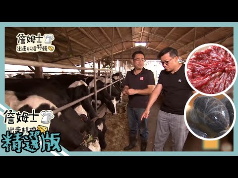 《精選詹姆士棒的-特輯EP19》雲林產地限定台灣牛肩胛肉 一斤千元黑羽烏骨雞雞佛與頂級戰斧黑毛豬