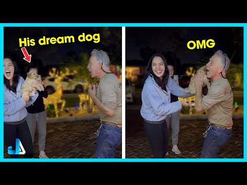 🐾 New New Puppy Surprise Compilation 2025 (FULL) 💕 Wholesome Surprise Moments
