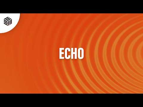 Twin Parrots - Echo (Lyric Video)[Afro House]