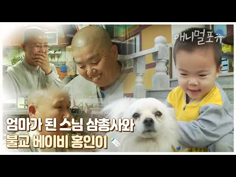 태어난지 60개월, 절에서 세 명의 엄마와 절친을 만났다! 나는 홍인이다 ㅣ KBS 인간극장 2012 방송