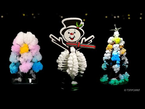 Magic Christmas Trees Timelapse