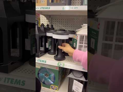 New outdoor finds in the Dollar Tree Plus section #dollartree