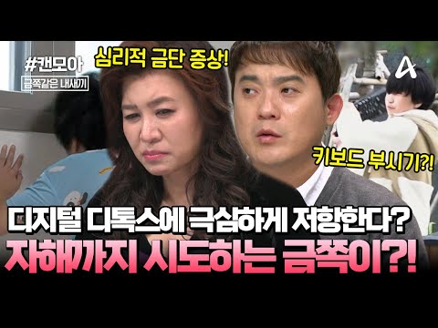 [#캔모아] 게임 중단 1일 차! 🤯분노 폭발한 금쪽이! 반복적으로 자해를 시도한다?! 😡과연 게임 중독의 늪에서 벗어날 수 있을까? | 금쪽같은 내새끼 259회