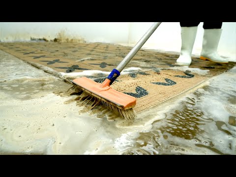 Buried Beneath Layers of Mud – The Stunning Revival You Have to See! | Carpet Cleaning ASMR