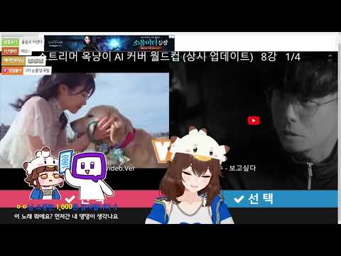 (도네용)옥냥이가 울린 사람들