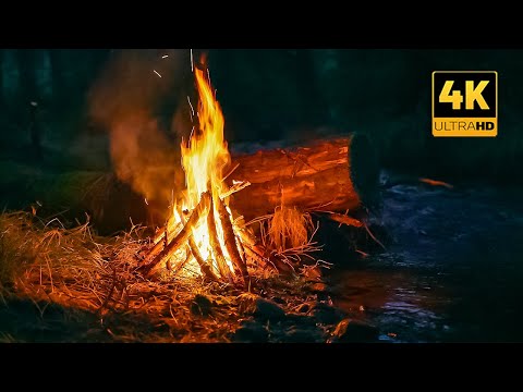 4K 📺 Night Campfire by the Forest Stream 🔥 Natural Sounds - No AI