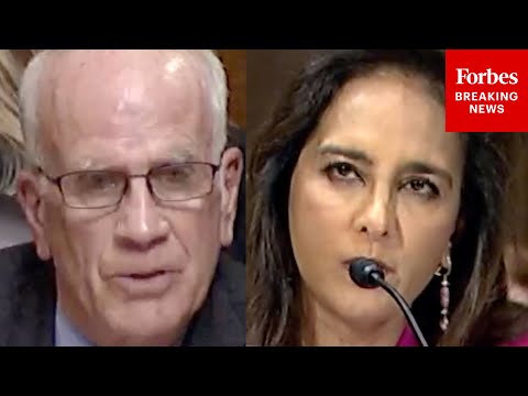 'Ms. Dhillon, Who Won The 2020 Election For President?': Welch, Harmeet Dhillon Have Tough Exchange