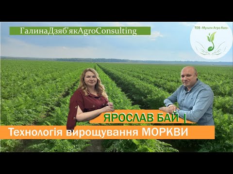 Всі технологічні елементи вирощування МОРКВИ: шантане і нантська, норм висіву, живлення, захист