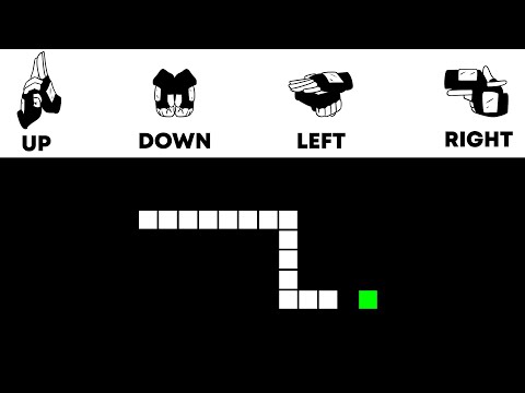 I Wrote a Program to Play Snake with Ninjutsu...