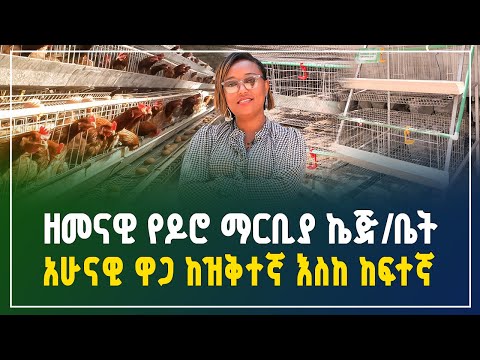 ዘመናዊ የዶሮ ማርቢያ ኬጅ ዋጋ! ከዝቅተኛ እስከ ከፍተኛ! | poultry cage price | Agriculture | Gebeya Business