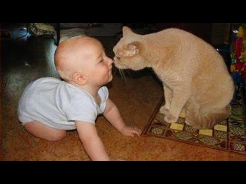 When cats and babies become first friends 👶❤️🐱Cute Cats and Little Human