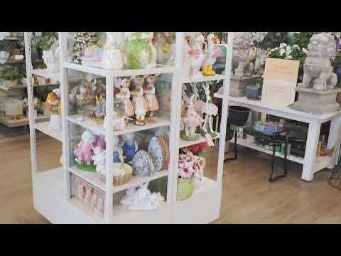 TJ Max/ Home Goods Visit