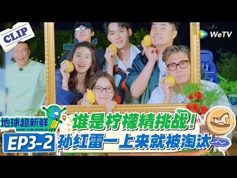 【地球超新鲜】EP3-2：索伦托民宿 “柠檬精” 大战！全家福拍摄连环翻车，房间争夺笑料不断！#地球超新鲜 #孙红雷 #李乃文 #陈赫 #刘宇宁 #龚俊 #陈星旭 #王玉雯