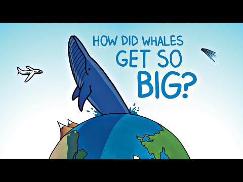 (A book with the answer)