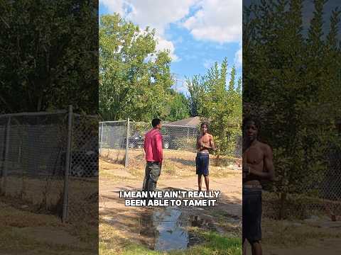 Family TRAPPED In The Overgrowth