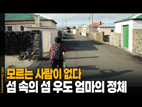 The identity of the person called "Udo Mom" ​​on Udo Island, an island within an island | KBS 201...