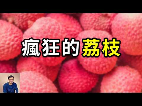 荔枝人人愛吃,但吃多了竟可能致命!最有故事性的水果,廣東人的驕傲,但長安的荔枝真來自嶺南嗎?【老肉雜談】