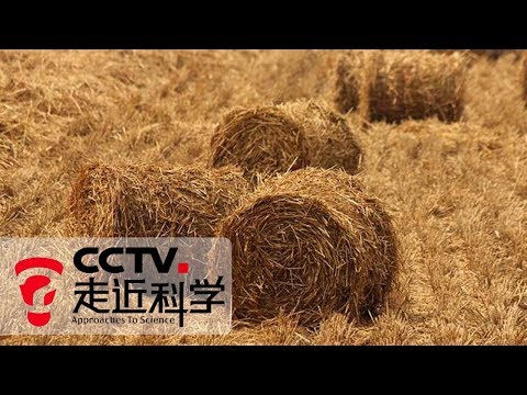《走近科学》 秸秆资源化：农民眼中的废弃物 可变身为清洁能源 20190806 | CCTV走近科学官方频道