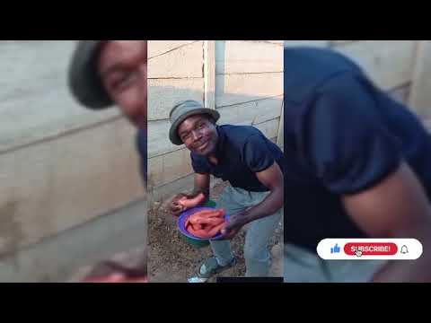 “You’ll Laugh Before 10 Seconds 🤣 💀 | Try Not to Laugh Challenge” Part 1