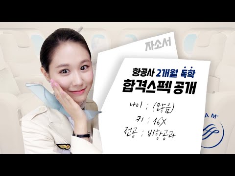 승무원 최종 합격 스펙 공개 + 자소서 작성 팁 ㅣ타 전공 답변 방법, 독학으로 승무원 이미지 만들기