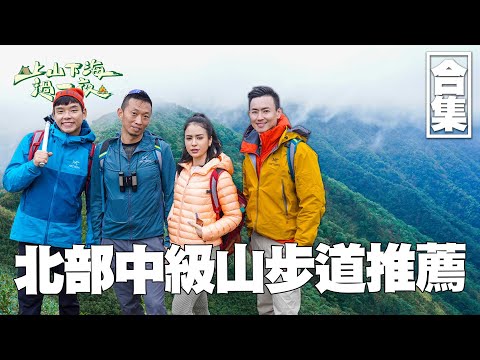北部中級山步道推薦｜抹茶山 加羅湖 此生必去的絕美步道 魔法森林 千年神木 一起走進童話故事般的仙境｜上山下海過一夜 合集