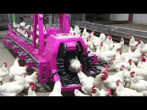 Geniale Erfindungen, die jeder sehen sollte