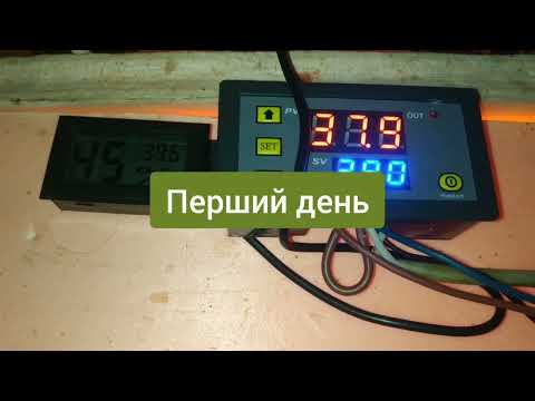 ✨Кращий режим інкубації перепелиних яєць в саморобному інкубаторі/ Наш перший вдалий досвід