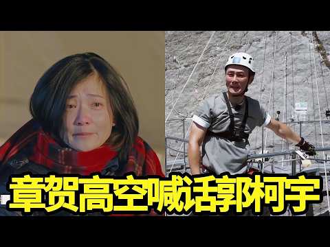 章贺为郭柯宇站上悬崖,那一声郭柯藏了十年未说的爱,李维嘉泪目破防了