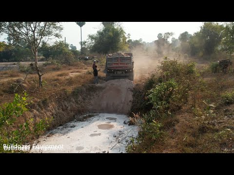 Crocodile pond project with 100% water, size 6 meters By 12 meters By Dump mTruck 5T & BULLDOZER