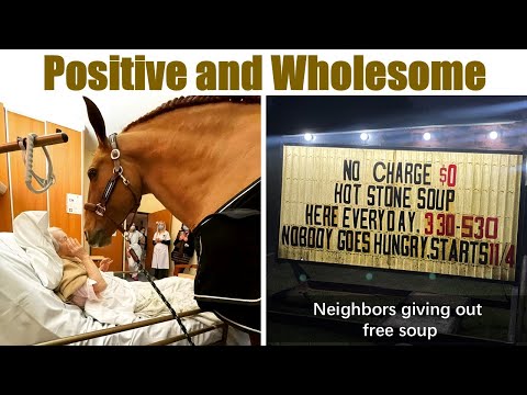 Positive And Wholesome Moments That Will Give You An Instant Serotonin Boost