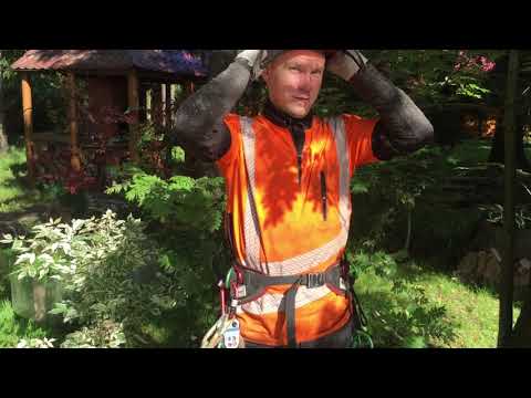 Снаряжение арбориста и подъем на дерево