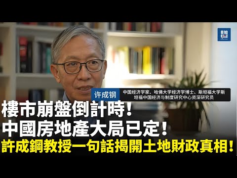 【重磅解讀】樓市崩盤倒計時！許成鋼教授一句話揭開土地財政真相！中國房地產大局已定！#中国楼市 #许成钢 #房地产 #房价 #限购取消 #房产税 #土地财政 #楼市崩盘 #中国经济 #房地产数据